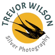 Silver Photography Logo